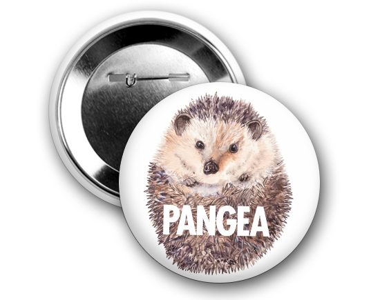 Pangea Egyesület